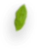 slider-layer8 slider-layer8