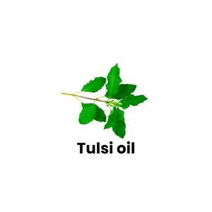Tulsi oil